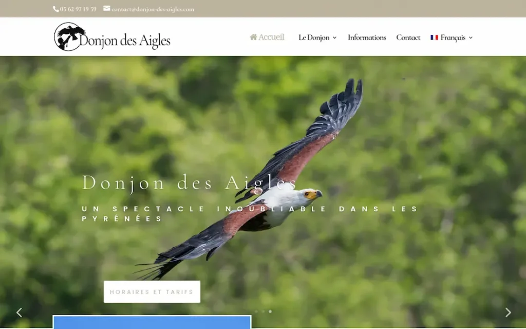 Création du site internet Donjon des Aigles à Beaucens